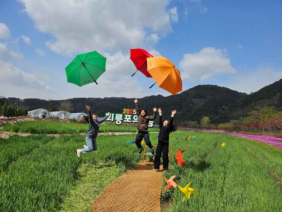 회룡포 봄나들이 축제